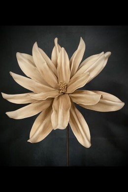 STONEWASH TAN FOAM FLOWER [FF705157]